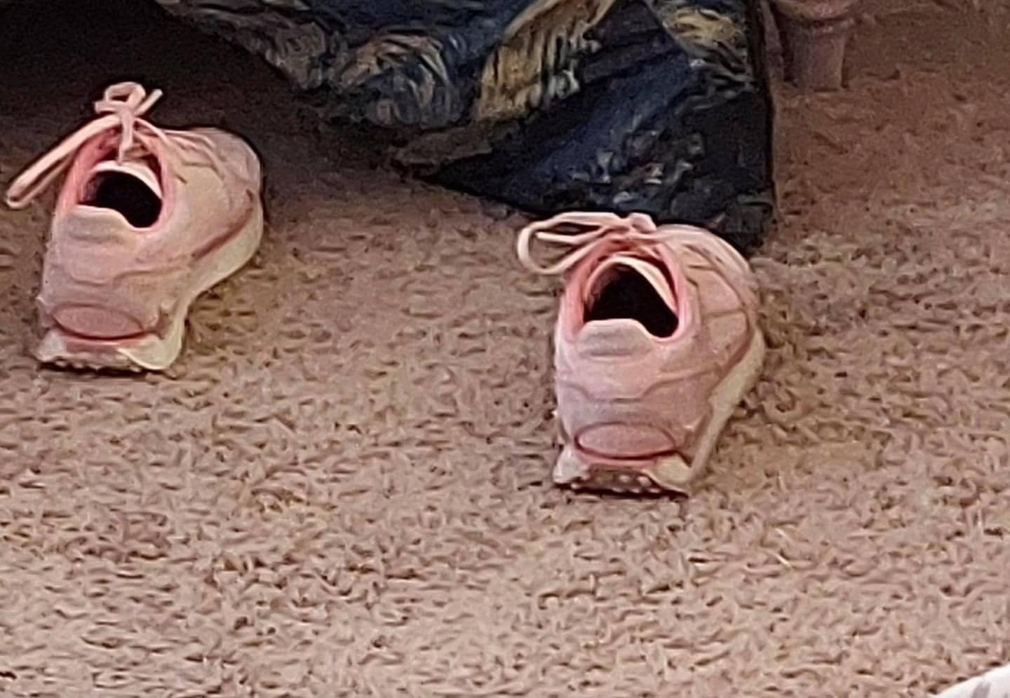 THE ORIGINAL SHOOS